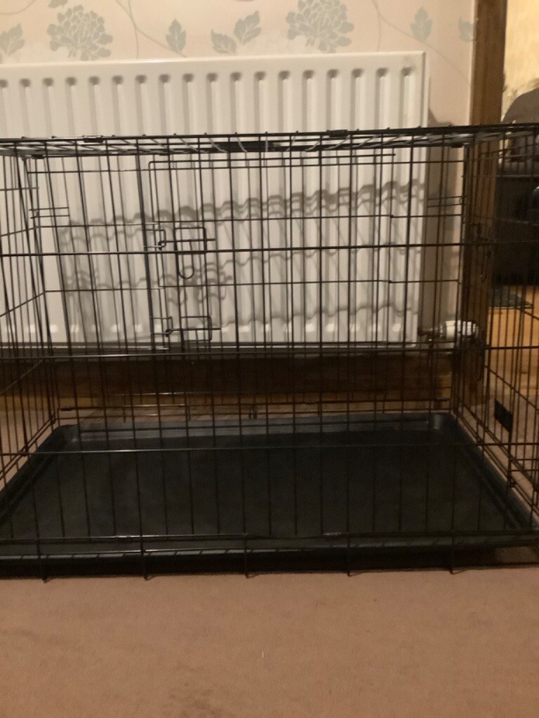 dog crate b&m